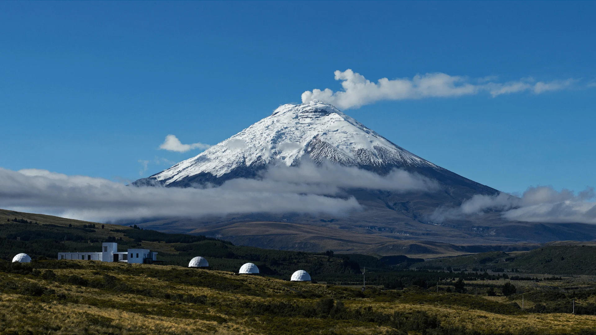 Geodesic Dome