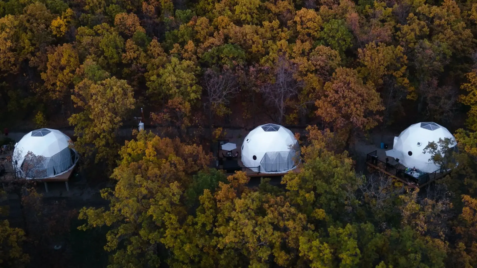 Geodesic Dome