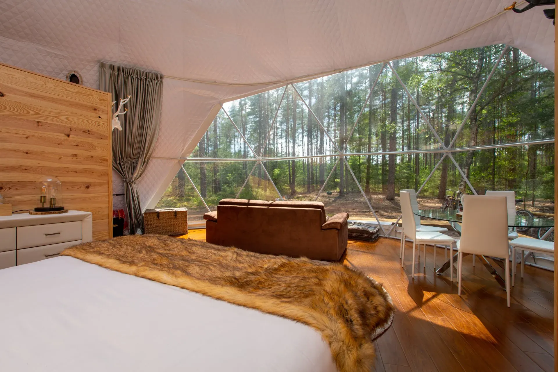 Geodesic Dome