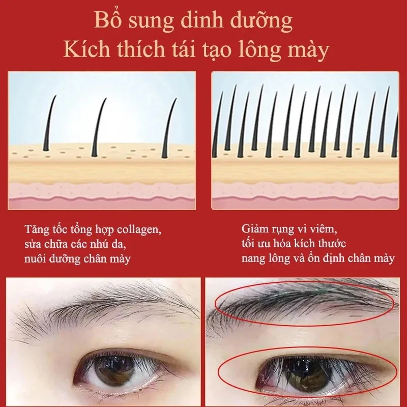 Eyebrow Eyelash Growth Serum